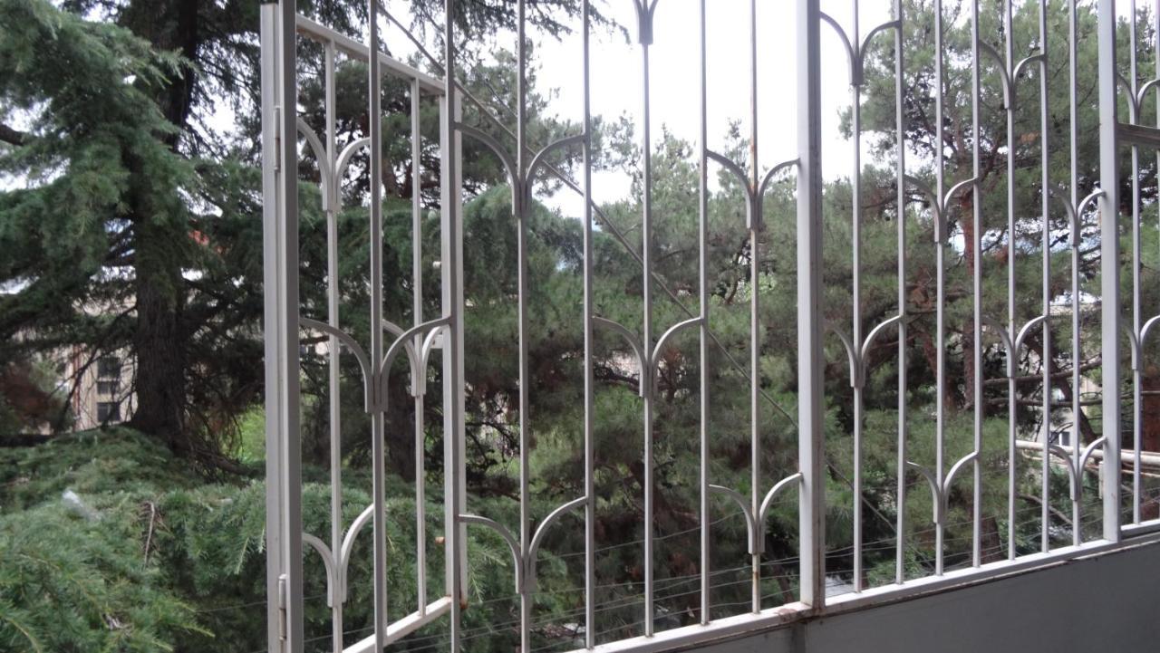 Apartment Vake-Saburtalo ティビリシ エクステリア 写真